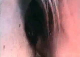 Her pussy is used by a pony