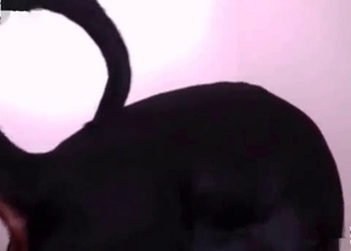 Girl seducing a dog