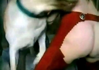 Petite babe fucking with pet’s putz