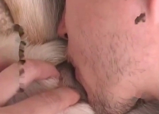 Retriever gets a sloppy BJ