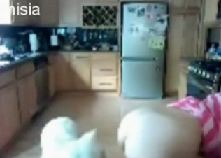 Sexy babe giving her pussy to a dog