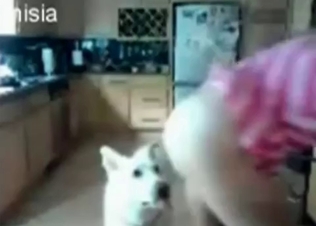 Sexy babe giving her pussy to a dog