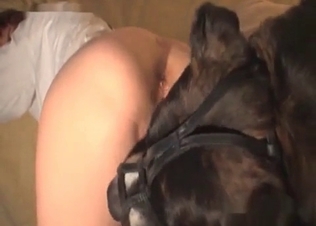 Pussy destroyed by a cute puppy