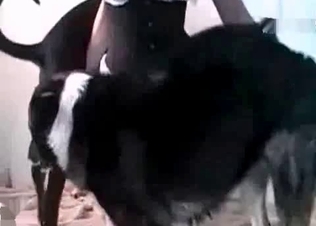 Dogs get to fuck their owner
