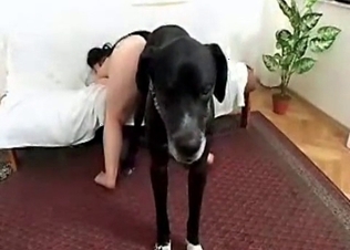 Ass-to-ass action with BBW