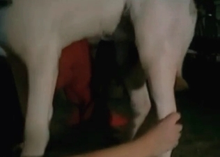 Round booty for a hot dog