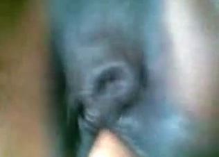 Horse getting fisted