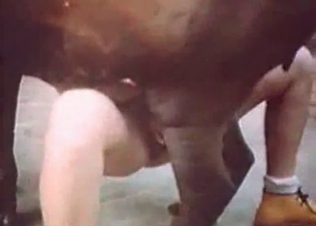 Farm sex with a sexy horse