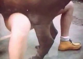 Farm sex with a sexy horse