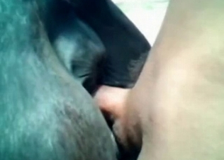 Tight horse hole stretched out