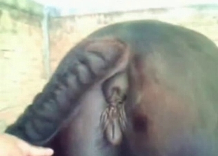 Tight horse hole stretched out