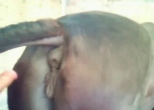 Tight horse hole stretched out