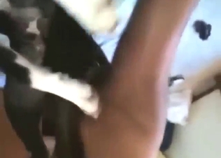 Sexed-up animal fucking two dominant dudes