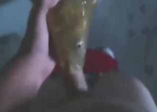 A big fish enjoying a hardcore blowjob here