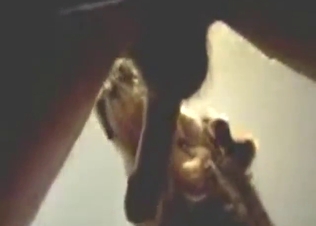 Riding and sucking dick with real determination