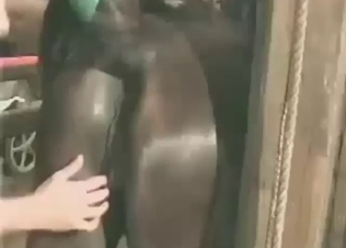 Mama talks dirty as he fucks that mare cunt