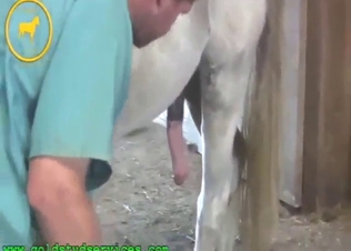 Smoking hot horse cock showcased big time