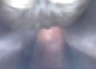 Immersive and immense POV fucking with a dog