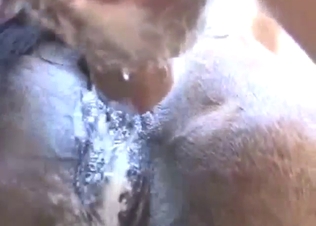 Zoophile fuck movie with a guy who wants dog vag
