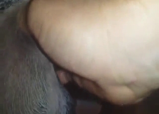 Juicy animal boner pulsating in a close-up scene