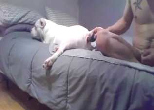 Dude is about to enjoy mental fuck with a Pitbull