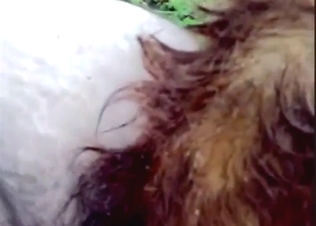 Dude sees a sexy cow and makes plans to fuck it