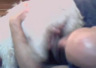 White dog subtly seduces a bald-headed zoophile