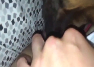 Awesome zoophile licking session with close-ups
