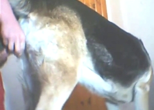 Dog-fucking motherfucker lets it all out big time