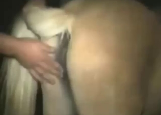 Creampie for a sexy mare that moans a lot