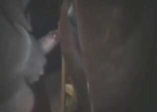 Dude bangs a mare to get it to the orgasmic limit